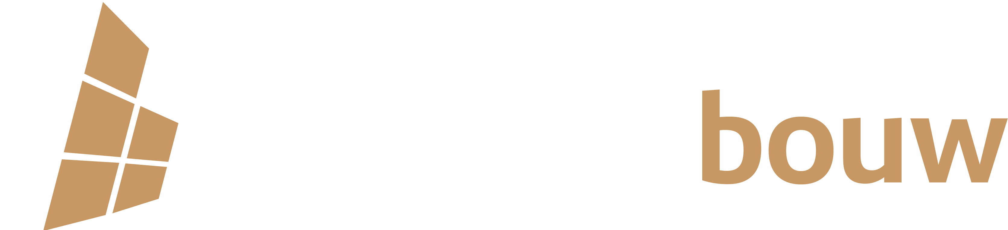 Brouwer Bouw Nijeveen